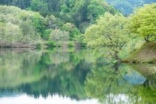 Tourist destination images of Yashio Ikono Mori (Yashio Recreation Forest)(3)