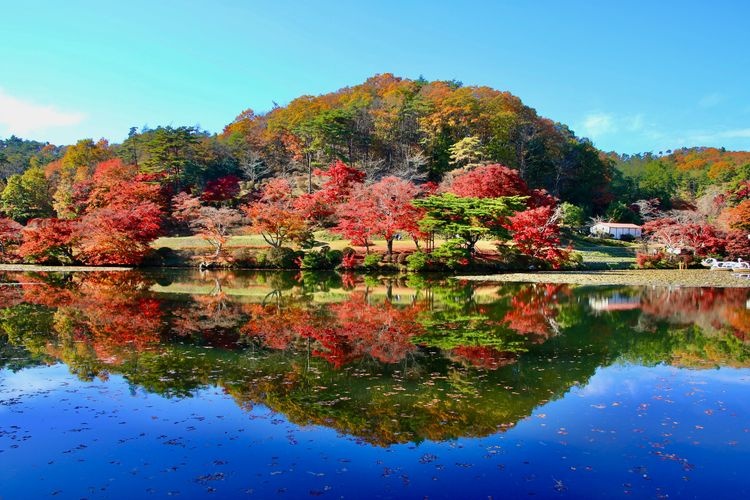 Hana to Rekishi no Sato Hebi no Hana