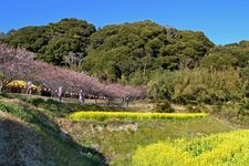 Tourist destination images of Hōkōen(3)