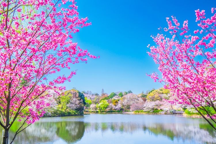 三ツ池公園 2