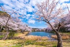 Tourist destination images of Kanagawa Prefectural Mitsuike Park(2)