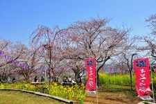 Tourist destination images of Kinugasayama Park(1)