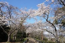 Tourist destination images of Kinugasayama Park(2)