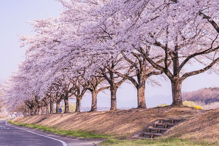 Kuroiso Park