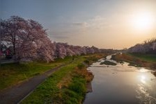 Tourist destination images of Kodama Senbonzakura(2)