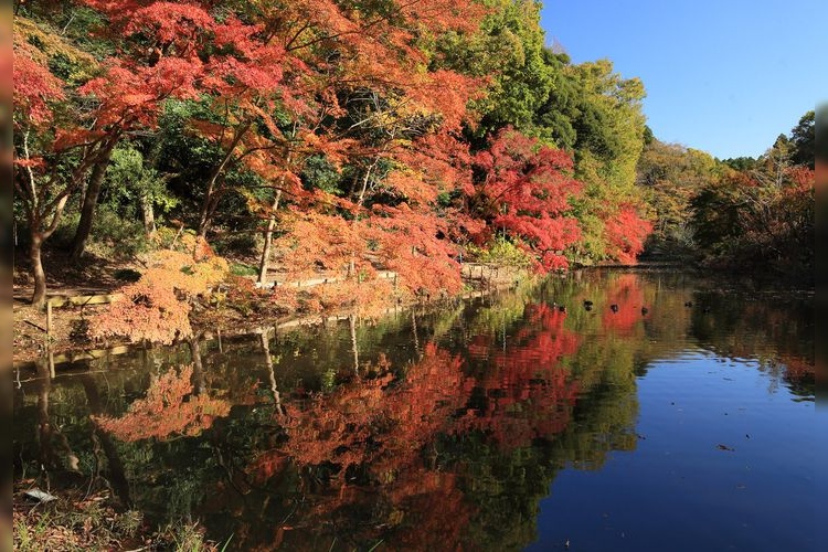 Izumi Nature Park