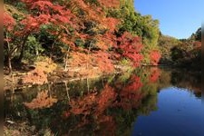 Tourist destination images of Izumi Nature Park(1)