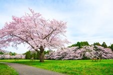 Tourist destination images of Izumi Nature Park(3)