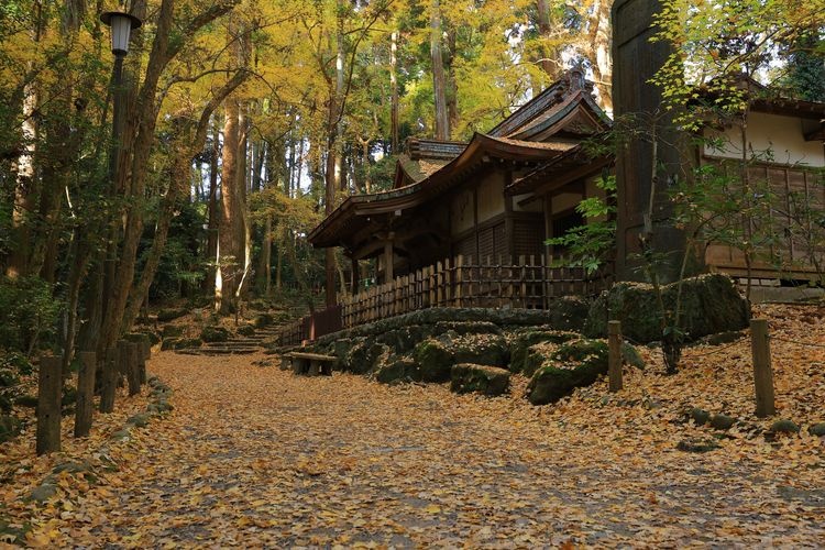 Naritasan Park 3