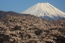 Tourist destination images of Daibosi Park(2)