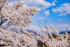大法師公園的觀光景點圖片(1)