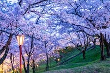 大法師公園的觀光景點圖片(2)