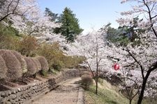 Tourist destination images of Iwadenyama Maruyama Park(1)