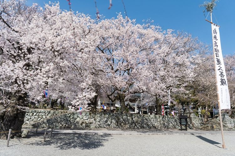 Myoryo-ji Temple