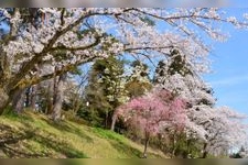 Tourist destination images of Yuuyasan Park(2)