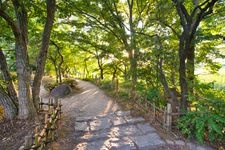 Tourist destination images of Niigata Prefectural Toyanogata Park(4)