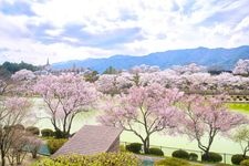 Tourist destination images of Kōjinzan Sports Park(2)