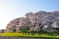Tourist destination images of Kaji-gawa Water Control Memorial Park(1)