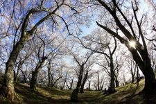 Tourist destination images of Mount Kōjōyama(1)