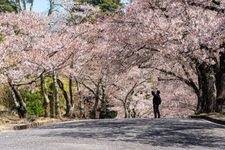 Tourist destination images of Joyama Park, Matsumoto City(4)