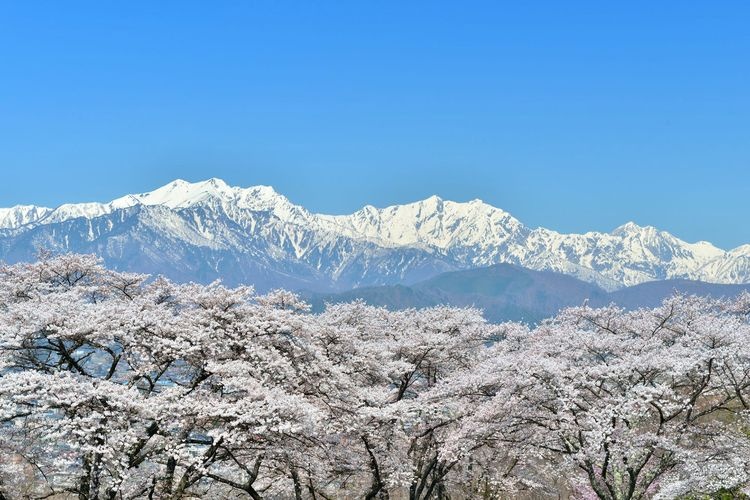 Omachi Park