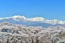 Tourist destination images of Omachi Park(1)