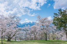 Tourist destination images of Omachi Park(2)