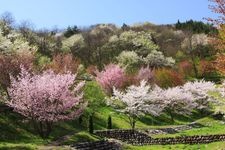 Tourist destination images of Yumenouen Farm(1)