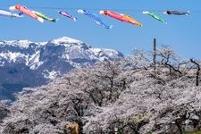 Tourist destination images of Katsuyama Benten Sakura(1)