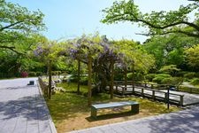 Tourist destination images of Komaruyama Castle Ruins Park(3)