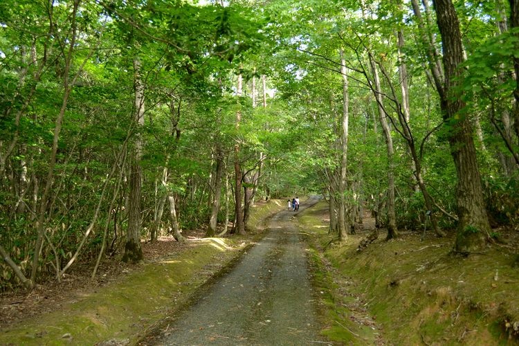 Yanagida Botanical Garden