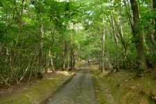 Tourist destination images of Yanagida Botanical Garden(1)