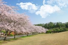 Tourist destination images of Yanagida Botanical Garden(2)