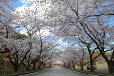 Tourist destination images of Yanagida Botanical Garden(4)