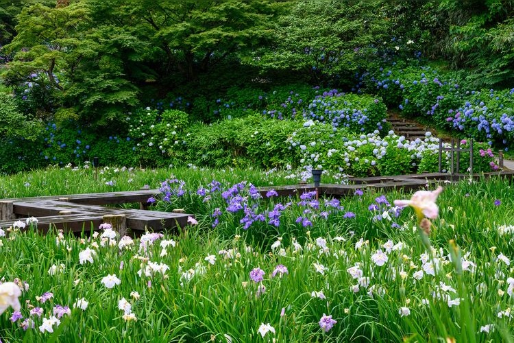 Utatsuyama Park