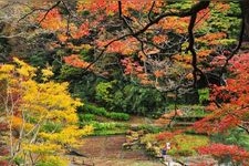 Tourist destination images of Utatsuyama Park(3)