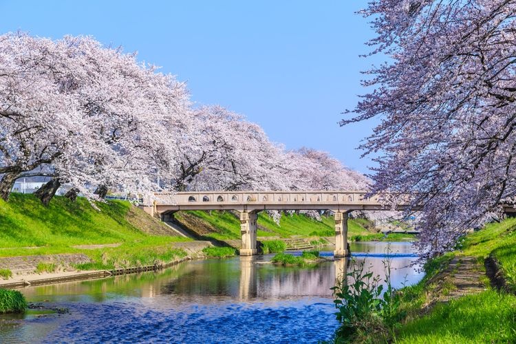 Shinkyogawa Tei