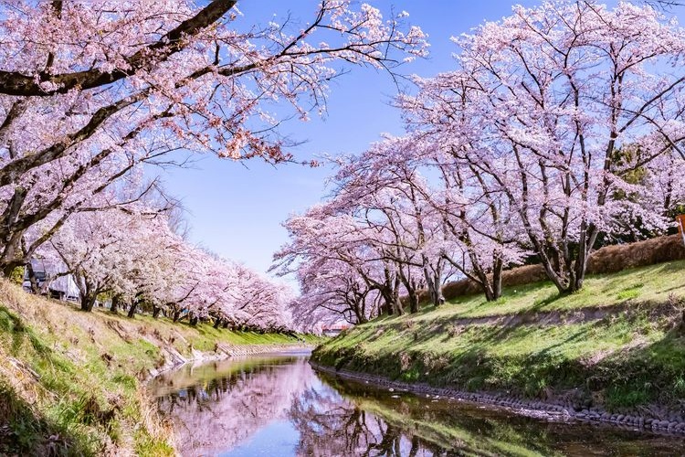 Shin-kyogawa River Embankment