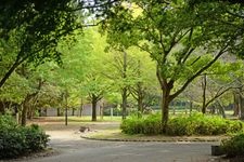 Tourist destination images of Toyohashi Park (Yoshida Castle Ruins)(1)