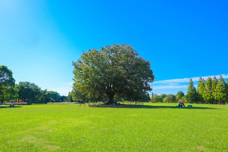 Shonai Ryokuchi Park