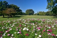 Tourist destination images of Shonai Ryokuchi Park(2)