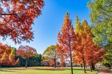 Tourist destination images of Heiwa Koen (Peace Park)(3)