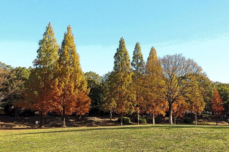 Heiwa Koen (Peace Park)