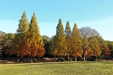 Tourist destination images of Heiwa Koen (Peace Park)(1)