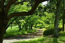 Tourist destination images of Heiwa Koen (Peace Park)(4)