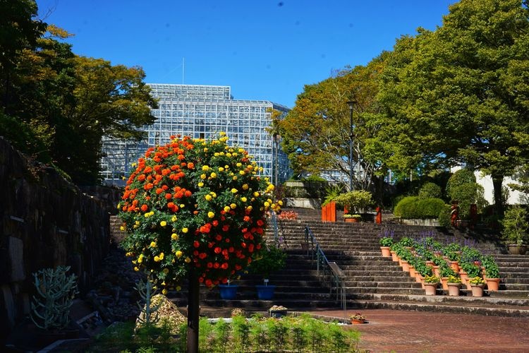 Công viên Thực vật Thành phố Hiroshima 2