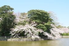 Tourist destination images of Kamejou Park(2)