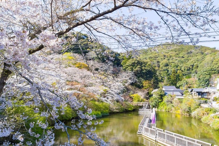 Okuyama Park