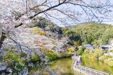 Tourist destination images of Okuyama Park(1)