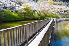 Tourist destination images of Okuyama Park(2)